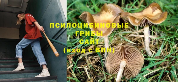 дживик Абдулино