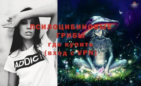 крисы Алексин
