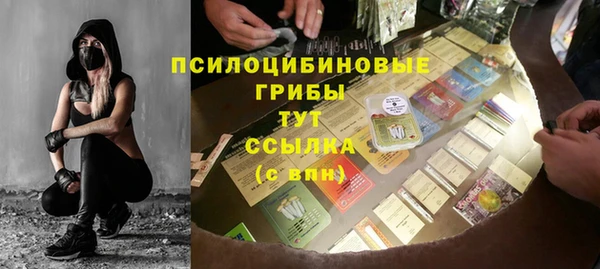 тгк Абинск