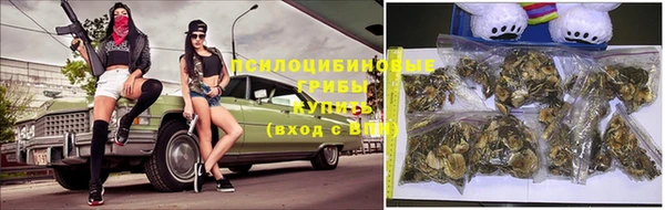гашиш Абаза