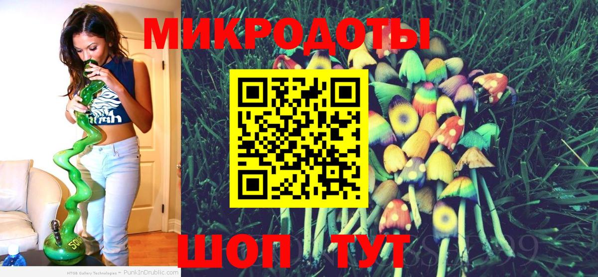 Касимов  Галлюциногенные грибы Cubensis  Вход с VPN 